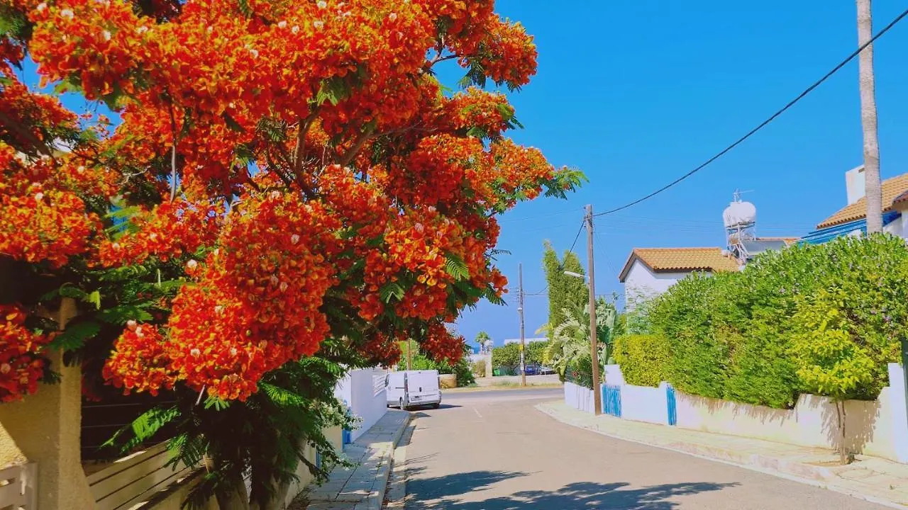 Stay Melissa Villa Protaras